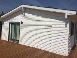 Best Custom Trim and Detailing for Siding  in Leipsic, OH